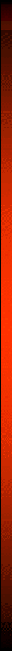 Rot